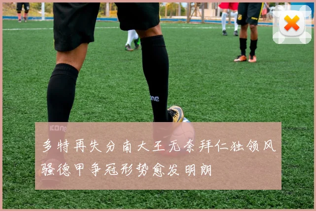 多特再失分南大王无奈拜仁独领风骚德甲争冠形势愈发明朗