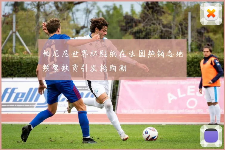 帕尼尼世界杯贴纸在法国热销各地频繁缺货引发抢购潮